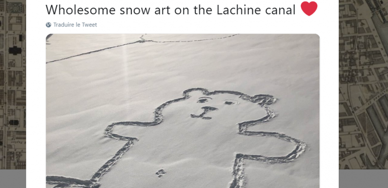 Canada: Le mystère s’épaissit autour du nombril d’un ours dessiné dans la neige