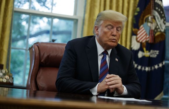 Syrie: Donald Trump entrevoit la reprise imminente de «100%» des territoires de Daesh