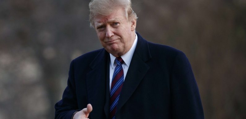 Donald Trump en «excellent santé» malgré son obésité modérée