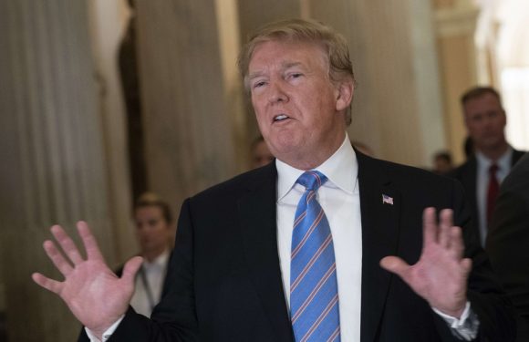 VIDEO. Trump préfère voir son fils jouer au «soccer» qu’au football américain