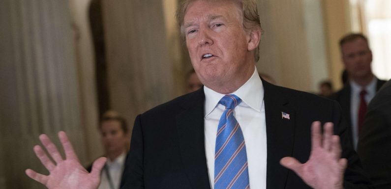 VIDEO. Trump préfère voir son fils jouer au «soccer» qu’au football américain