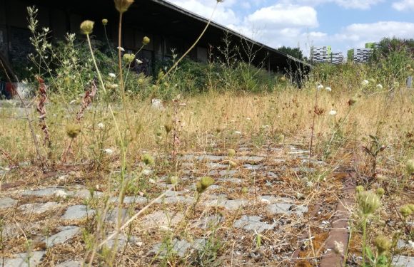 Lille: Le nouveau projet du quartier Saint-Sauveur sera-t-il accepté?