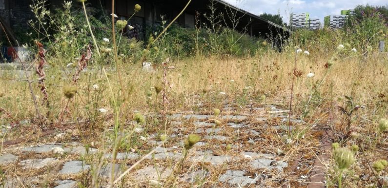 Lille: Le nouveau projet du quartier Saint-Sauveur sera-t-il accepté?
