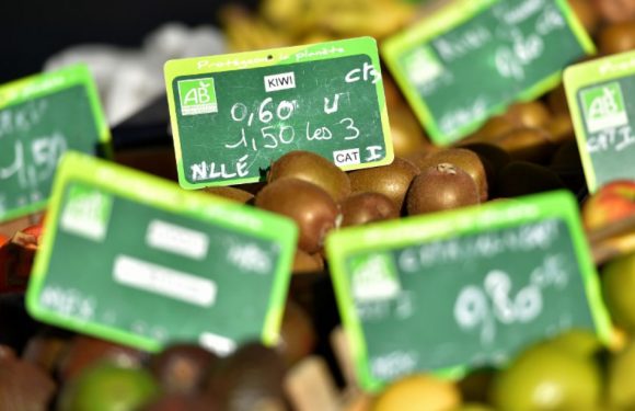 Trois agriculteurs bio portent plainte contre l’Etat pour des retards de paiement d’aides