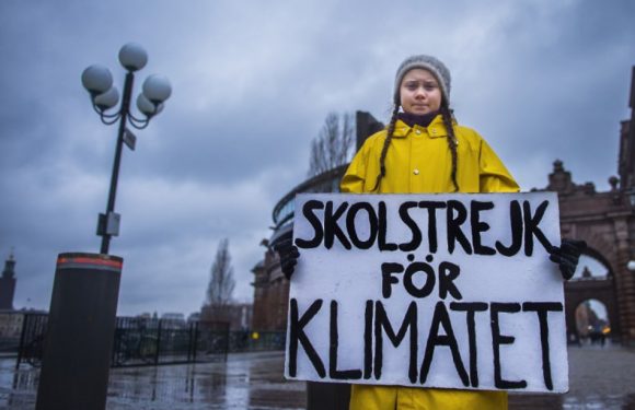 Réchauffement climatique: L&rsquo;égérie du climat Greta Thunberg interpelle à nouveau l&rsquo;Europe