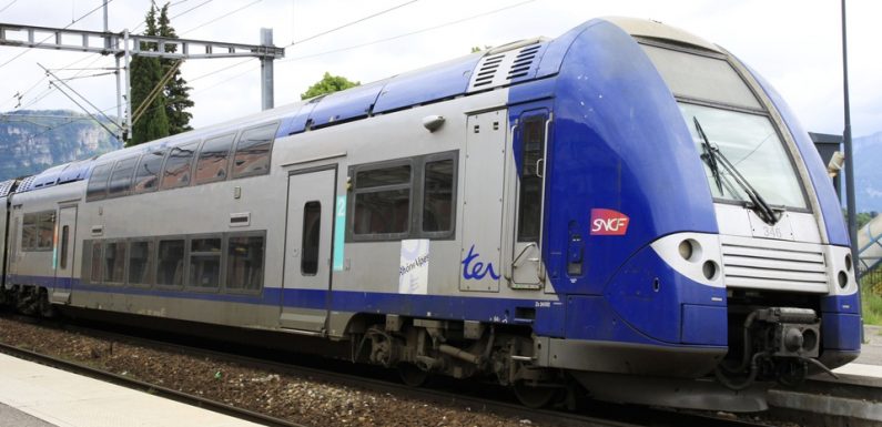 Lyon: Mécontents de «voyager comme du bétail», les usagers du TER Bourg-Lyon lancent une pétition