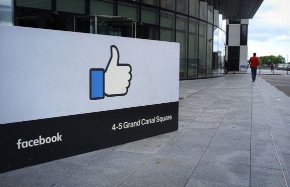Facebook dévoile les premiers lauréats français de son fonds anti-harcèlement