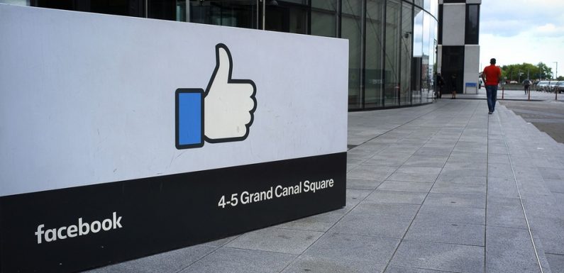 Facebook dévoile les premiers lauréats français de son fonds anti-harcèlement