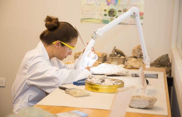 AUDIO : «Minute Papillon!»: Les femmes de science célébrées, les vulgarisateurs au poil sur Youtube