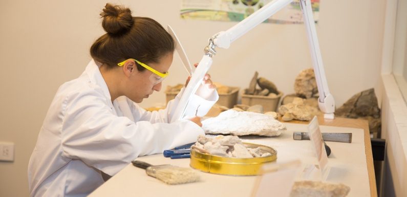 AUDIO : «Minute Papillon!»: Les femmes de science célébrées, les vulgarisateurs au poil sur Youtube