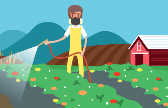 Lille: «Cinquante personnes contaminées», autant de plaintes déposées contre le glyphosate