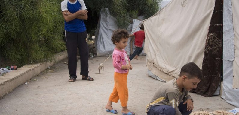 Enfants retenus au Kurdistan syrien: Trois avocats attaquent l’État français à l’ONU pour «inaction»