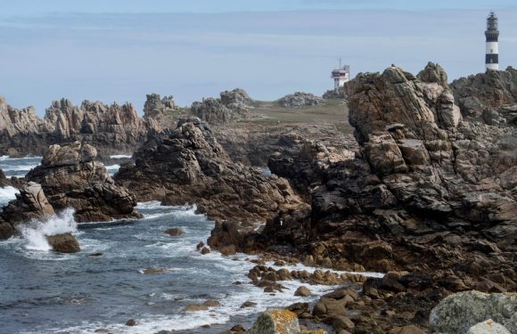 Bretagne: Qui veut s’installer sur l’île d’Ouessant pour produire du bon lait bio ?
