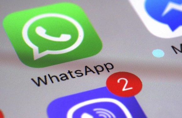 10 ans de WhatsApp: Pourquoi aimez-vous cette application?
