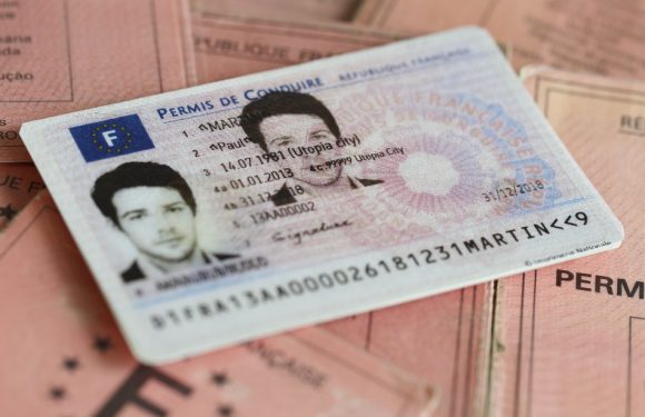 Une députée propose de passer le permis dès 17 ans en conduite accompagnée