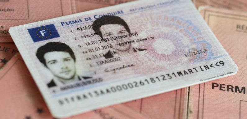Une députée propose de passer le permis dès 17 ans en conduite accompagnée