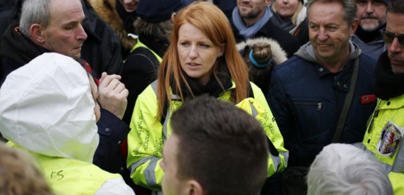 «Gilets jaunes»: Levavasseur abandonne la liste du RIC sans «renoncer aux européennes»