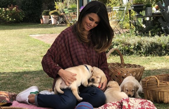 Chiots, chatons et futures mariées… Karine Ferri est sur tous les fronts de mignonnerie sur TF1