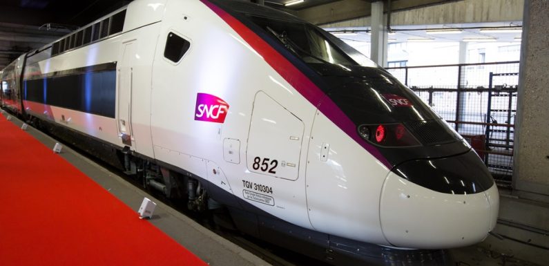 LGV Paris-Bordeaux: «25 % du trafic se fait aujourd’hui en Ouigo»