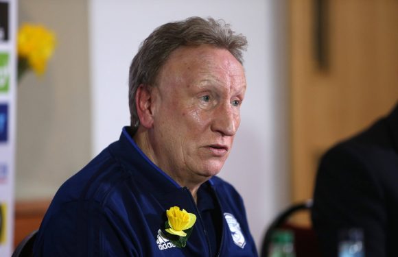 Mort d’Emiliano Sala: «J’aimais même ses goûts musicaux», le dernier hommage de l’entraîneur de Cardiff
