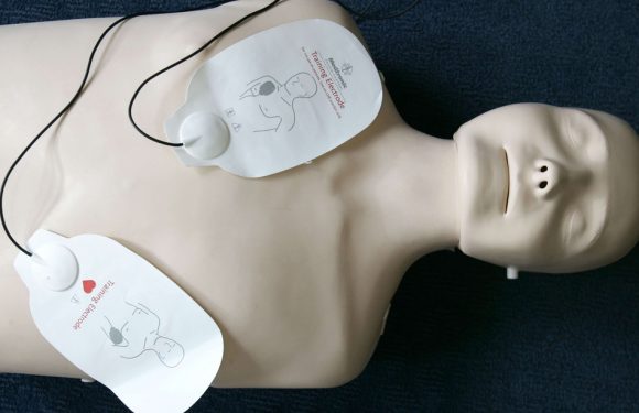 Secourisme: Une proposition de loi vise à améliorer la formation et créer un statut de «citoyen sauveteur»