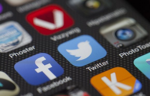 Haine en ligne: «La France cherche l’équilibre entre la liberté d’expression et les droits de l’homme»