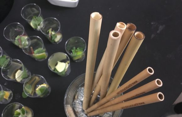 VIDEO. Montpellier : Pailles en bambou, baby-foot solaire… Quatre innovations qui vont faire fureur cet été sur la plage