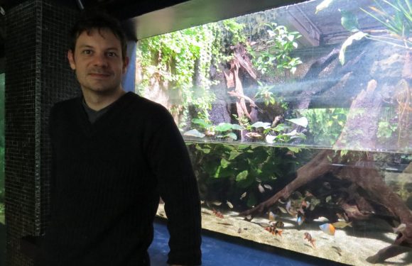 Pour son encyclopédie en ligne, il s’est mis en quête de tous les poissons du monde