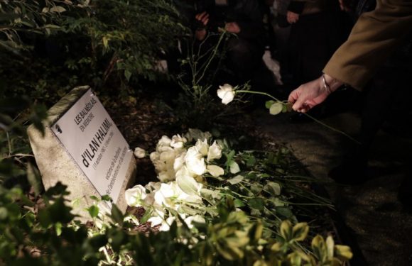 Essonne: Un arbre planté à la mémoire d&rsquo;Ilan Halimi retrouvé scié