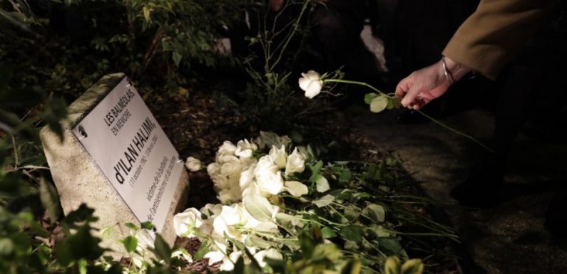 Essonne: Un arbre planté à la mémoire d’Ilan Halimi retrouvé scié