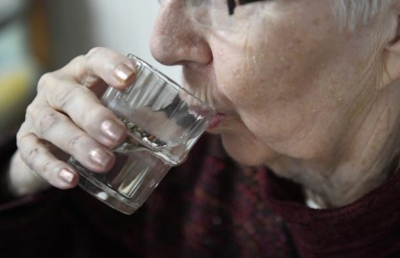 Courses, ménage, toilette… Plus de 40% des personnes de plus de 75 ans se font aider chez elles au quotidien
