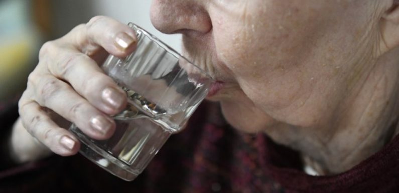 Courses, ménage, toilette… Plus de 40% des personnes de plus de 75 ans se font aider chez elles au quotidien