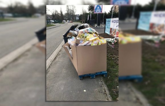 Gaspillage alimentaire: Non, Aldi n’a pas jeté de la nourriture non périmée près de Lille