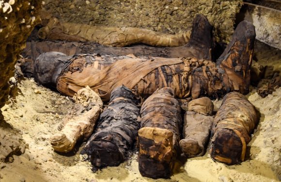 VIDEO. Egypte: Des momies de plus de 2.000 ans dévoilées, une incroyable découverte