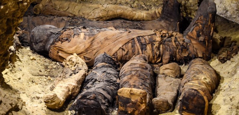 VIDEO. Egypte: Des momies de plus de 2.000 ans dévoilées, une incroyable découverte