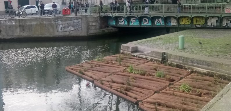 Paris: Un radeau végétalisé dépolluant sur le canal Saint-Martin