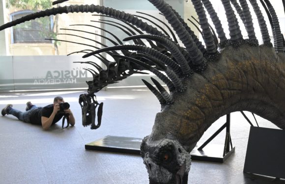 Un dinosaure se défendant avec ses épines découvert en Argentine