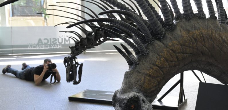 Un dinosaure se défendant avec ses épines découvert en Argentine