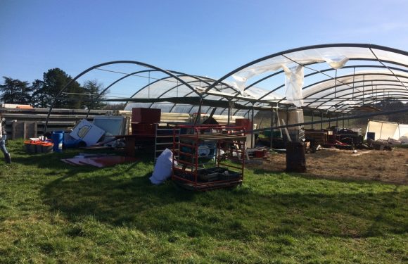 VIDEO.Gironde : Quatre maraîchers vont s’installer aux portes de Bordeaux autour du projet « La ferme de la Glutamine »