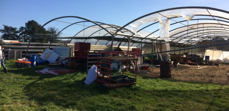 VIDEO.Gironde : Quatre maraîchers vont s’installer aux portes de Bordeaux autour du projet « La ferme de la Glutamine »