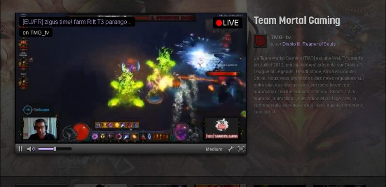 Grand débat national: Une dizaine de ministres en direct sur la plateforme de streaming de jeux vidéo Twitch