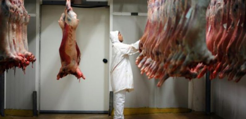 Gard: A l’origine du scandale sur l’abattage dénoncé par L214, le directeur de l’abattoir d’Alès devant la justice