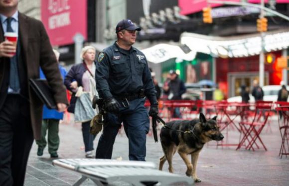 Etats-Unis: Perpétuité pour un suprémaciste blanc qui avait tué un Noir