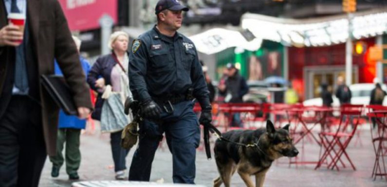Etats-Unis: Perpétuité pour un suprémaciste blanc qui avait tué un Noir