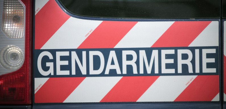Nîmes : Enceinte, elle perd les eaux à la gendarmerie après avoir foncé sur les militaires
