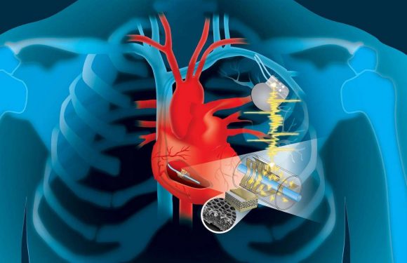 Les pacemakers bientôt rechargés par les battements du cœur ?