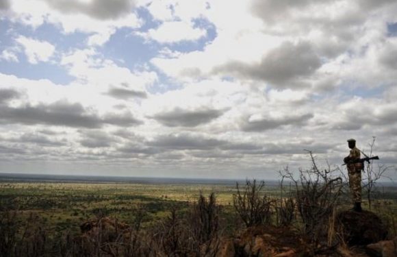 Kenya Découvrez les premières photos en 100 ans du très rare léopard noir d’Afrique