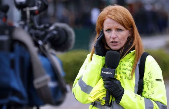 Européennes : pourquoi la liste des Gilets jaunes a explosé en vol