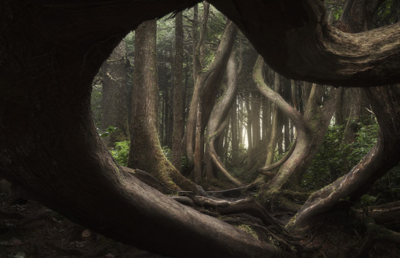 Voici les 15 plus belles photos de paysages de 2018 selon l’International Landscape Photographer of the Year