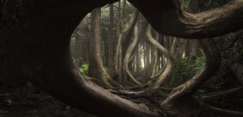 Voici les 15 plus belles photos de paysages de 2018 selon l’International Landscape Photographer of the Year